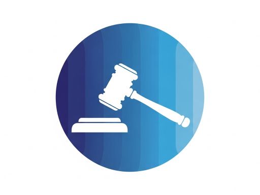 Legal Analysis: From Criminal Custody to Immigration Detention—The Double Jeopardy for Non-Citizens in Australia